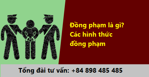 Dong Pham La Gi Cac Hinh Thuc Dong Pham Hang Luat Alegal