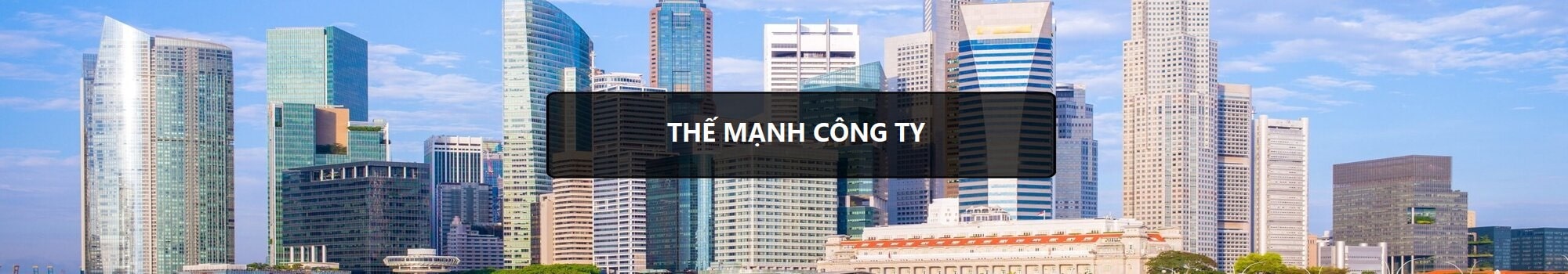 1. hang-luat-alegal -the-manh-cong-ty-