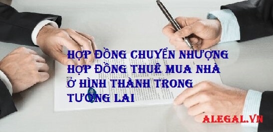 Hop Dong Chuyen Nhuong Hop Dong Thue Mua Nha O Hinh Thanh Trong Tuong Tuong Lai Hang Luat Alegal