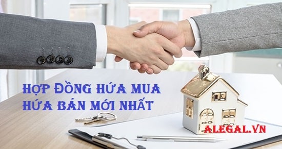 Mau Hop Dong Hua Mua Hua Ban Theo Quy Dinh Moi Nhat Hang Luat Alegal