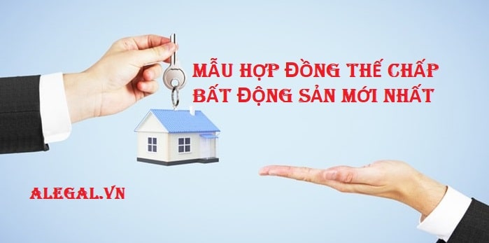 Mau Hop Dong The Chap Can Ho Nha Chung Cu Theo Quy Dinh Moi Nhat Hang Luat Alegal